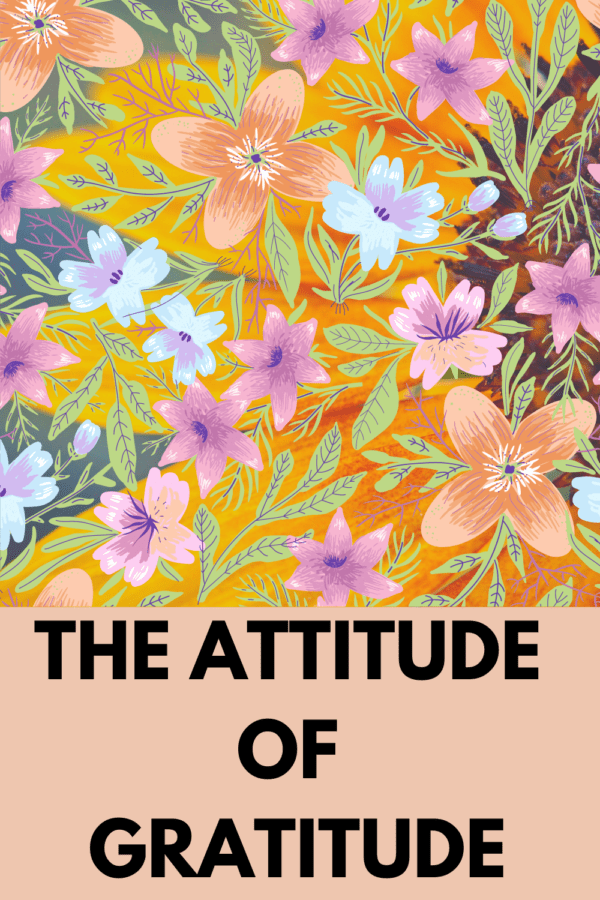 Have An Attitude Of Gratitude For Life - Law Of Attraction Tips 101